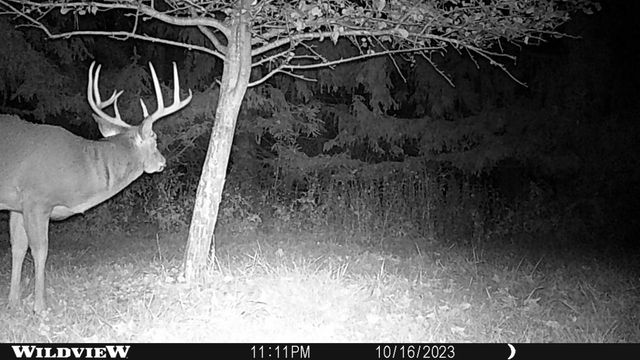 21478 County Hwy ZZ Road, Richland Center, WI 53581