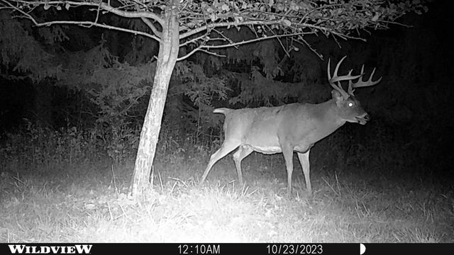 21478 County Hwy ZZ Road, Richland Center, WI 53581