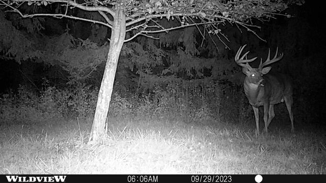 21478 County Hwy ZZ Road, Richland Center, WI 53581