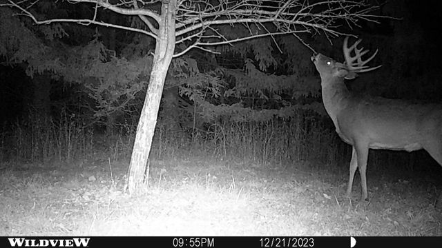 21478 County Hwy ZZ Road, Richland Center, WI 53581