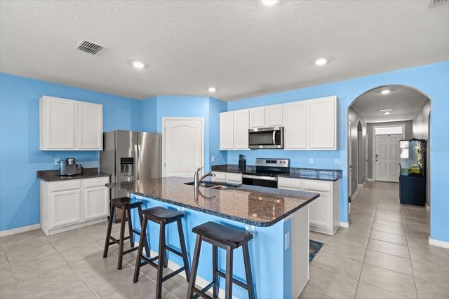 5247 MAHOGANY DRIVE, Mount Dora, FL 32757