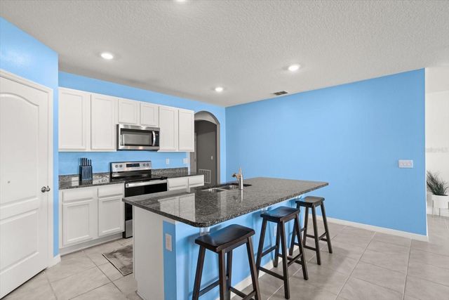 5247 MAHOGANY DRIVE, Mount Dora, FL 32757