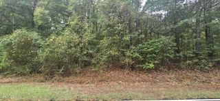 Woolsey Road, Olive Branch, MS 38654