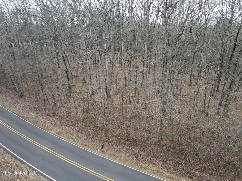 Woolsey Road, Olive Branch, MS 38654 — photo 2