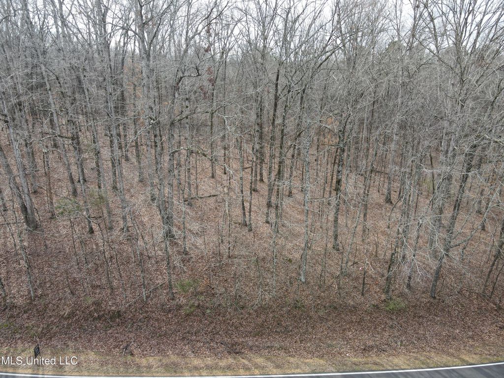 Woolsey Road, Olive Branch, MS 38654 — photo 3