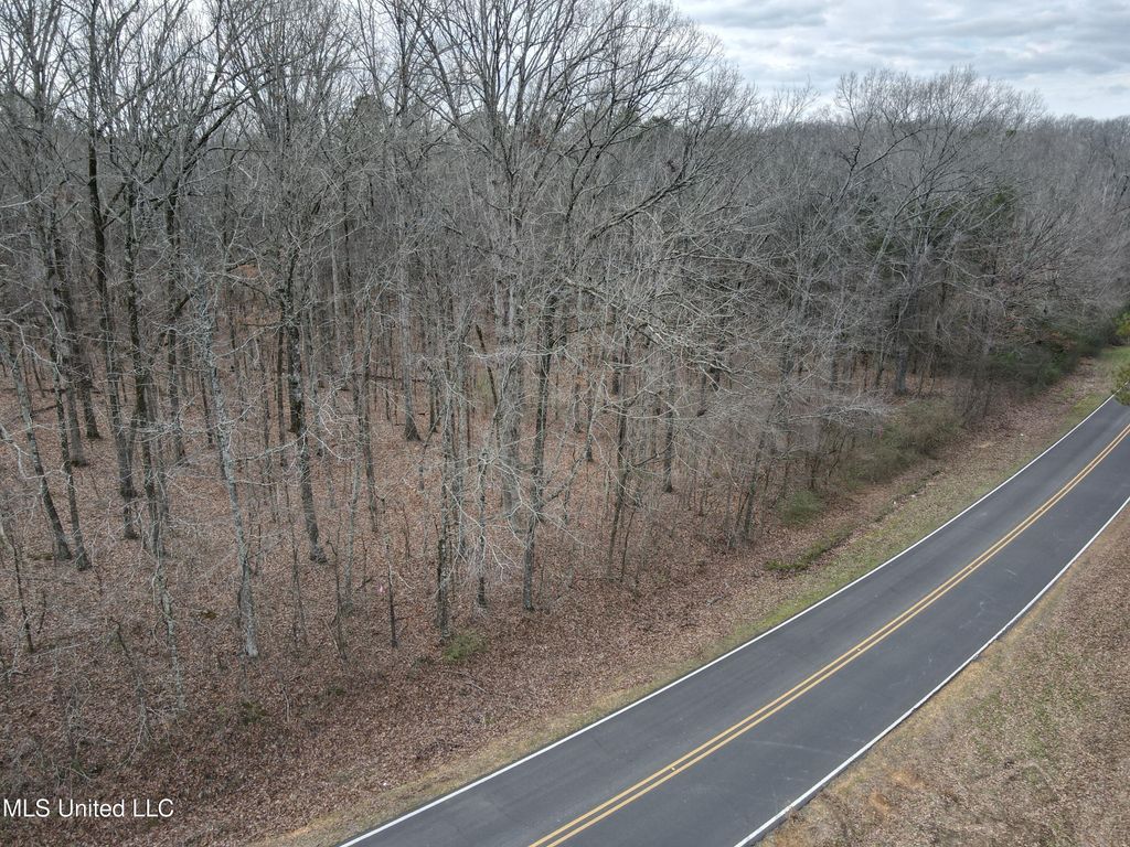Woolsey Road, Olive Branch, MS 38654 — photo 4