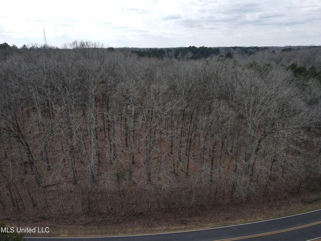 Woolsey Road, Olive Branch, MS 38654 — photo 5