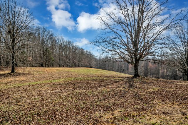 718 Darrell Rye Rd, Erin, TN 37061