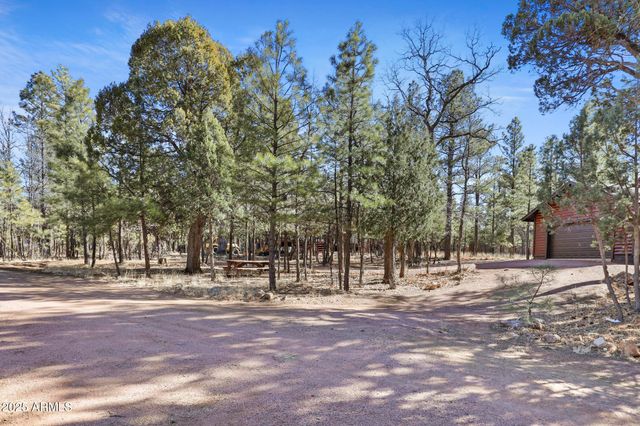 2908 APACHE Drive, Happy Jack, AZ 86024