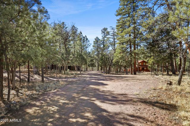 2908 APACHE Drive, Happy Jack, AZ 86024
