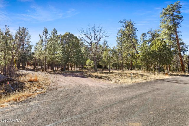 2908 APACHE Drive, Happy Jack, AZ 86024