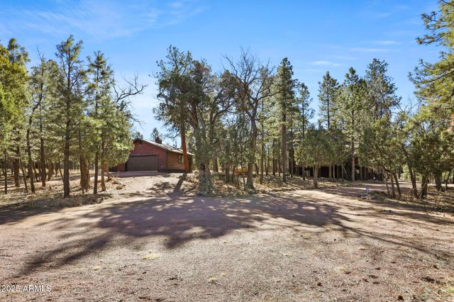 2908 APACHE Drive, Happy Jack, AZ 86024