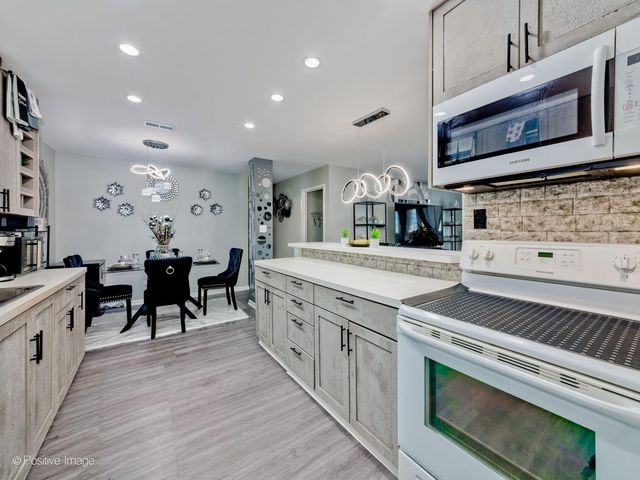 1717 W Crystal Lane 702, Mount Prospect, IL 60056