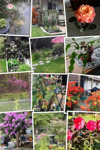 5686 Davis Road, Norton Shores City, MI 49441