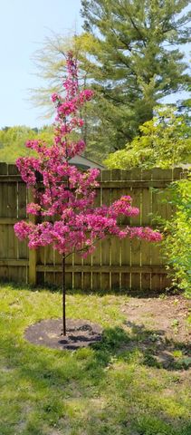 5686 Davis Road, Norton Shores City, MI 49441