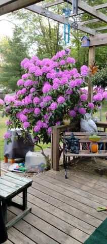 5686 Davis Road, Norton Shores City, MI 49441