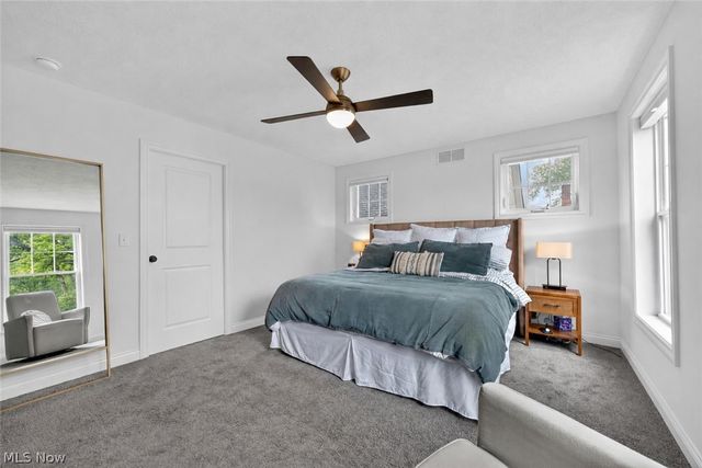 1315 Donald Avenue, Lakewood, OH 44107