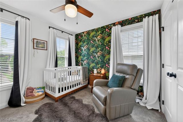 1315 Donald Avenue, Lakewood, OH 44107