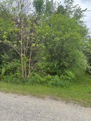 Lot 49 Leona Drive, Mount Pleasant, MI 48858