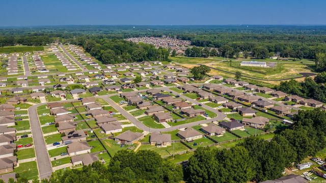 85 Smarty Jones Circle, Austin, AR 72007