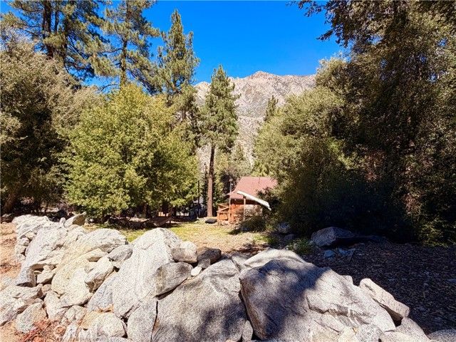 39503 Prospect, Forest Falls, CA 92339