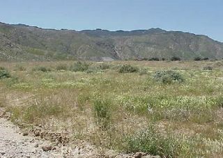 0 Almond, Cabazon, CA 92230