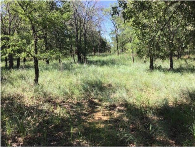 0 Cozy Cove Court, Chico, TX 76431