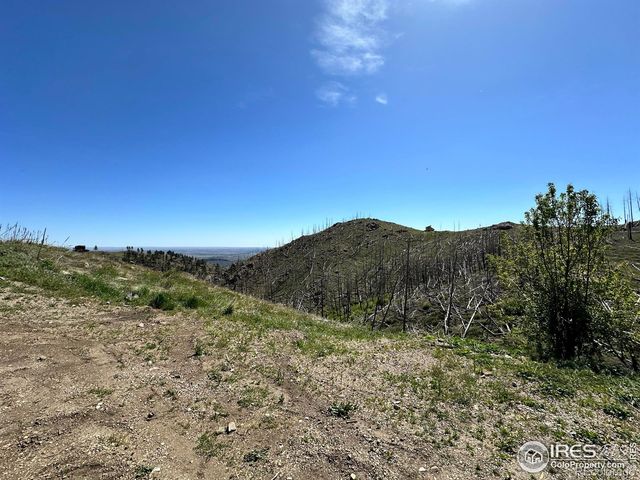 100 Canyon Gulch Road, Bellvue, CO 80512