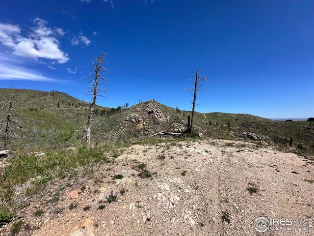 100 Canyon Gulch Road, Bellvue, CO 80512