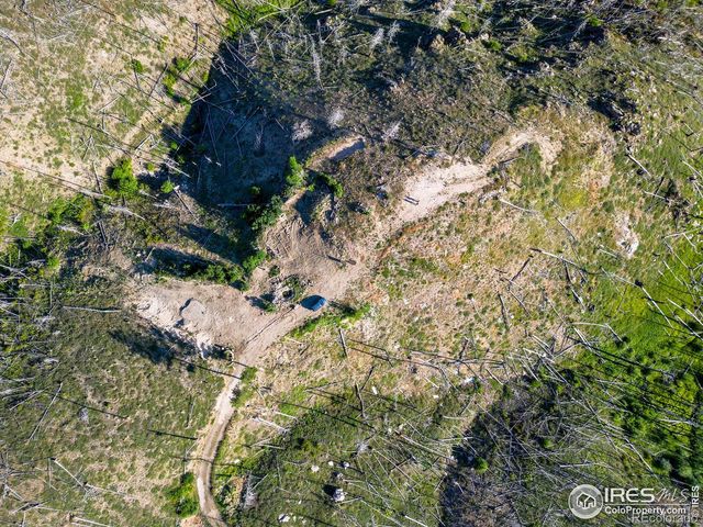 100 Canyon Gulch Road, Bellvue, CO 80512