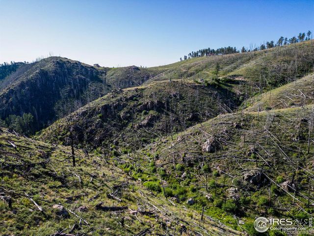 100 Canyon Gulch Road, Bellvue, CO 80512