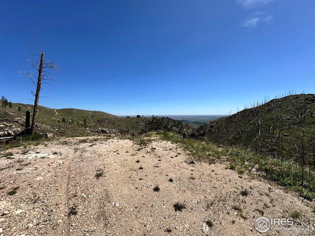 100 Canyon Gulch Road, Bellvue, CO 80512