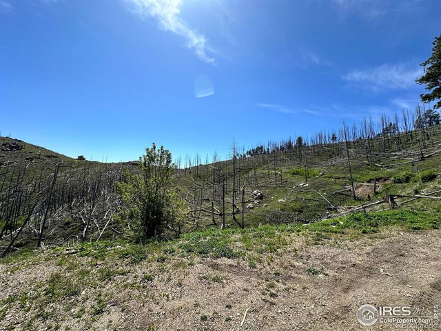 100 Canyon Gulch Road, Bellvue, CO 80512