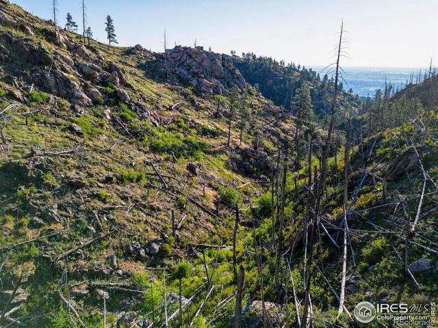 100 Canyon Gulch Road, Bellvue, CO 80512