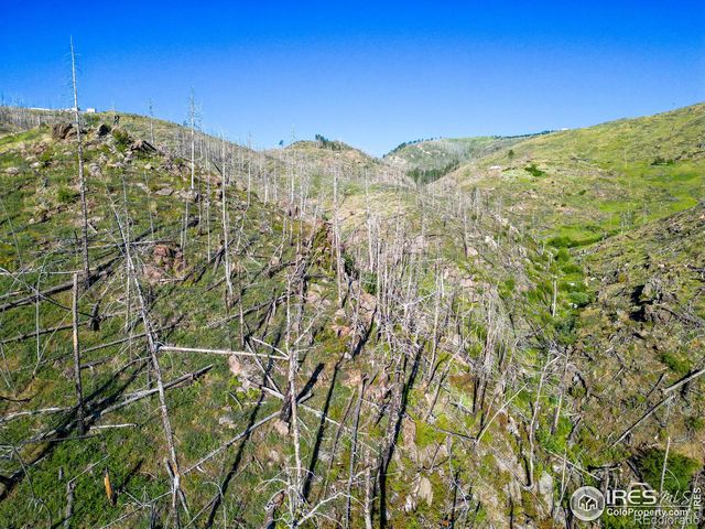 100 Canyon Gulch Road, Bellvue, CO 80512