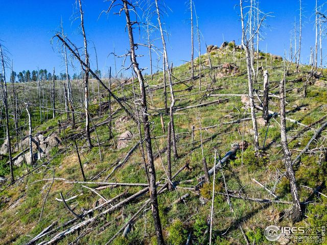 100 Canyon Gulch Road, Bellvue, CO 80512