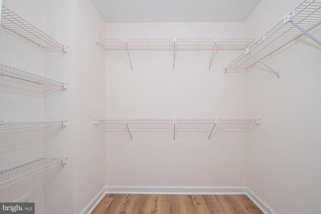 1001 N TIMBER RIDGE RD, Cross Junction, VA 22625