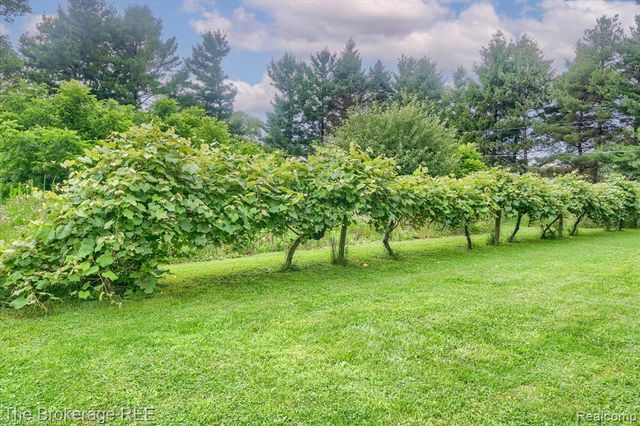 11484 Lapeer Road, Davison, MI 48423