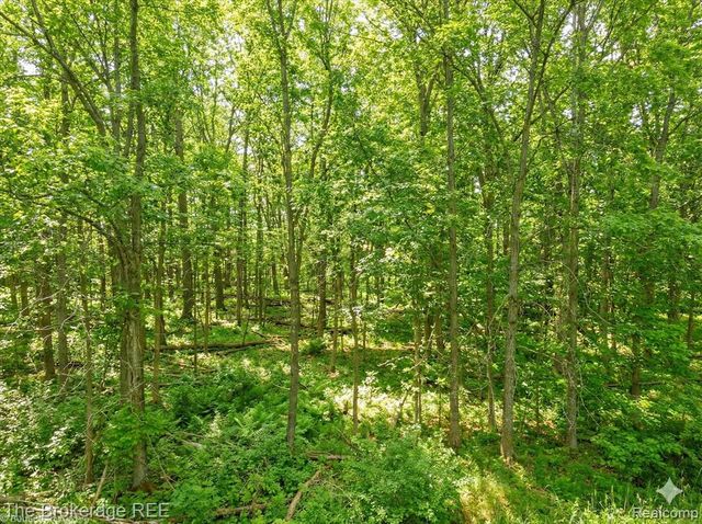 11484 Lapeer Road, Davison, MI 48423