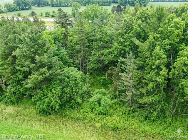 11484 Lapeer Road, Davison, MI 48423