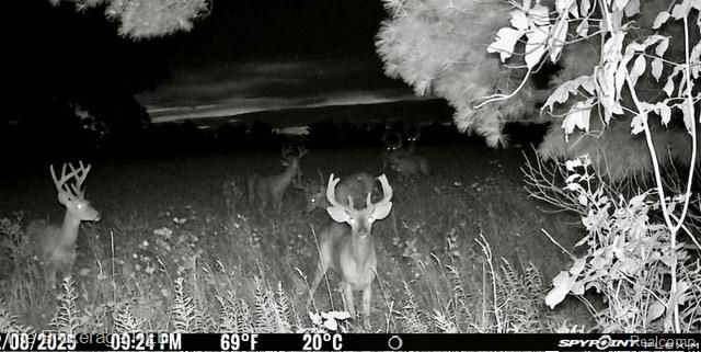 11484 Lapeer Road, Davison, MI 48423