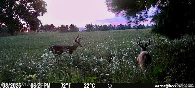 11484 Lapeer Road, Davison, MI 48423