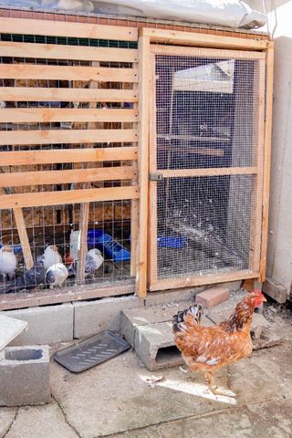 18940 Loree Avenue, Cupertino, CA 95014