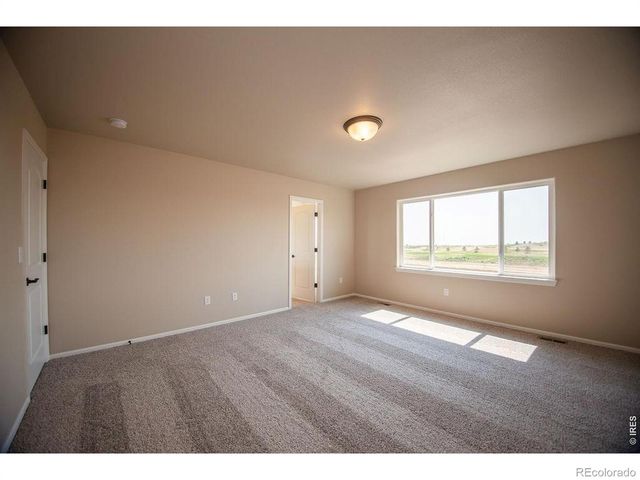 1649 Country Sun Court, Windsor, CO 80550