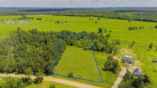 TBD Denson Allen Road, Coldspring, TX 77331