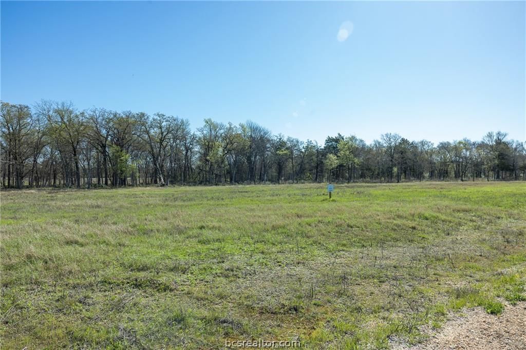 212 & 220 Little Branch Lane, Cameron, TX 76520 — photo 2