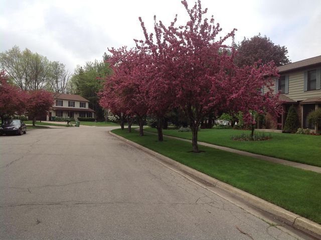 230 Aldersgate Drive, Portage City, MI 49024