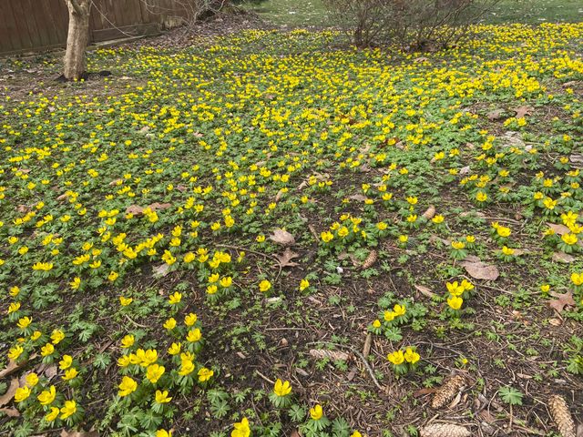 230 Aldersgate Drive, Portage City, MI 49024