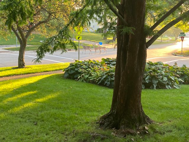 230 Aldersgate Drive, Portage City, MI 49024