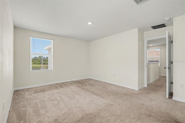 12068 DOWNY BIRCH DRIVE, Riverview, FL 33569